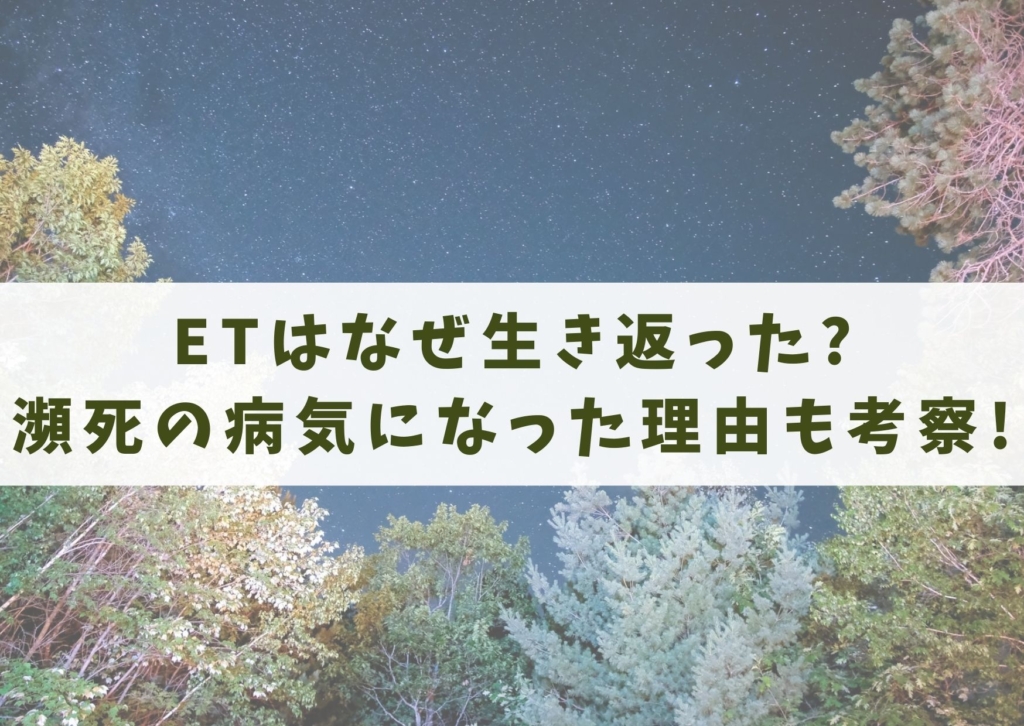 E T シネマアップデート