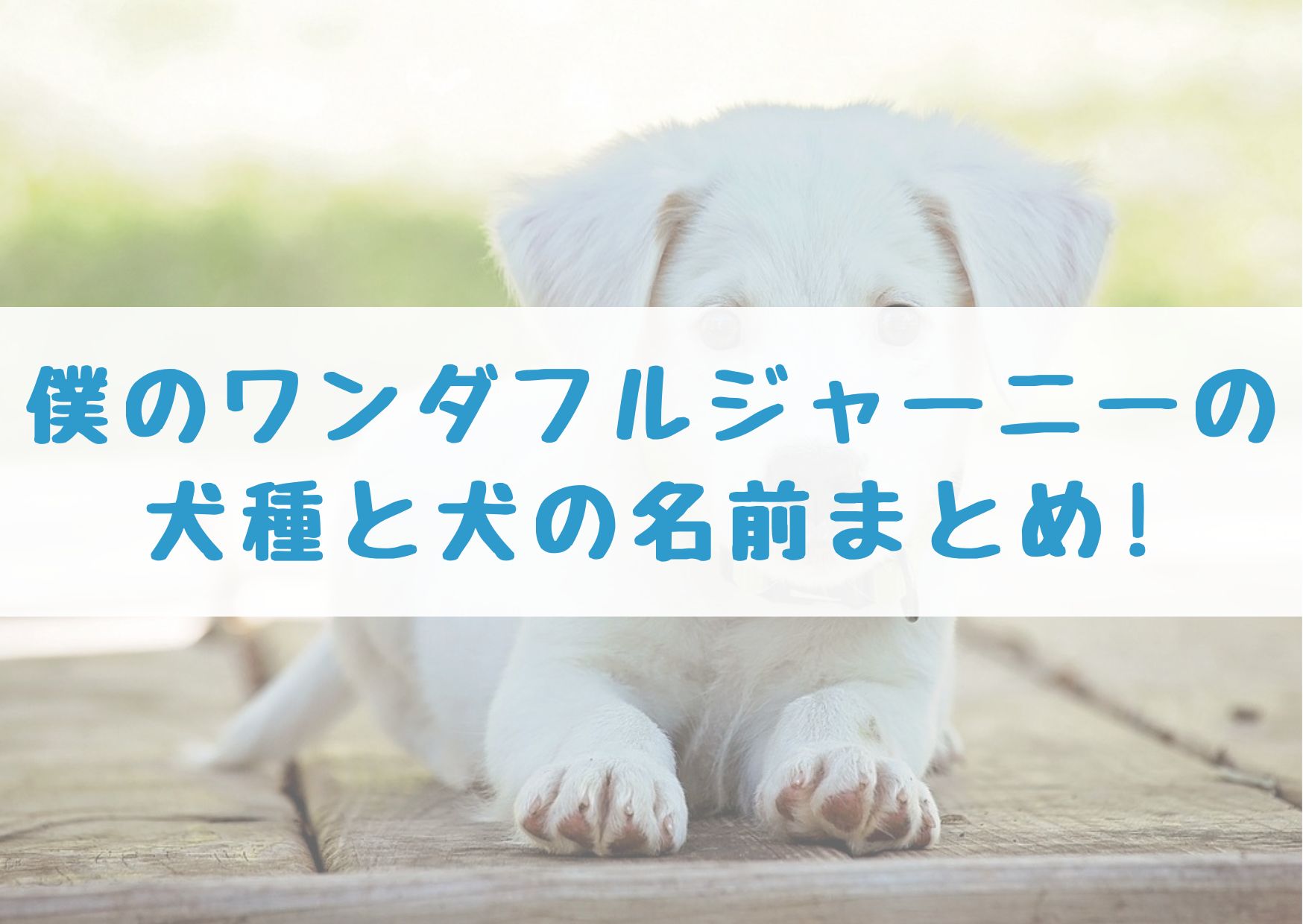 僕のワンダフルジャーニーの犬種と犬の名前まとめ シネマアップデート