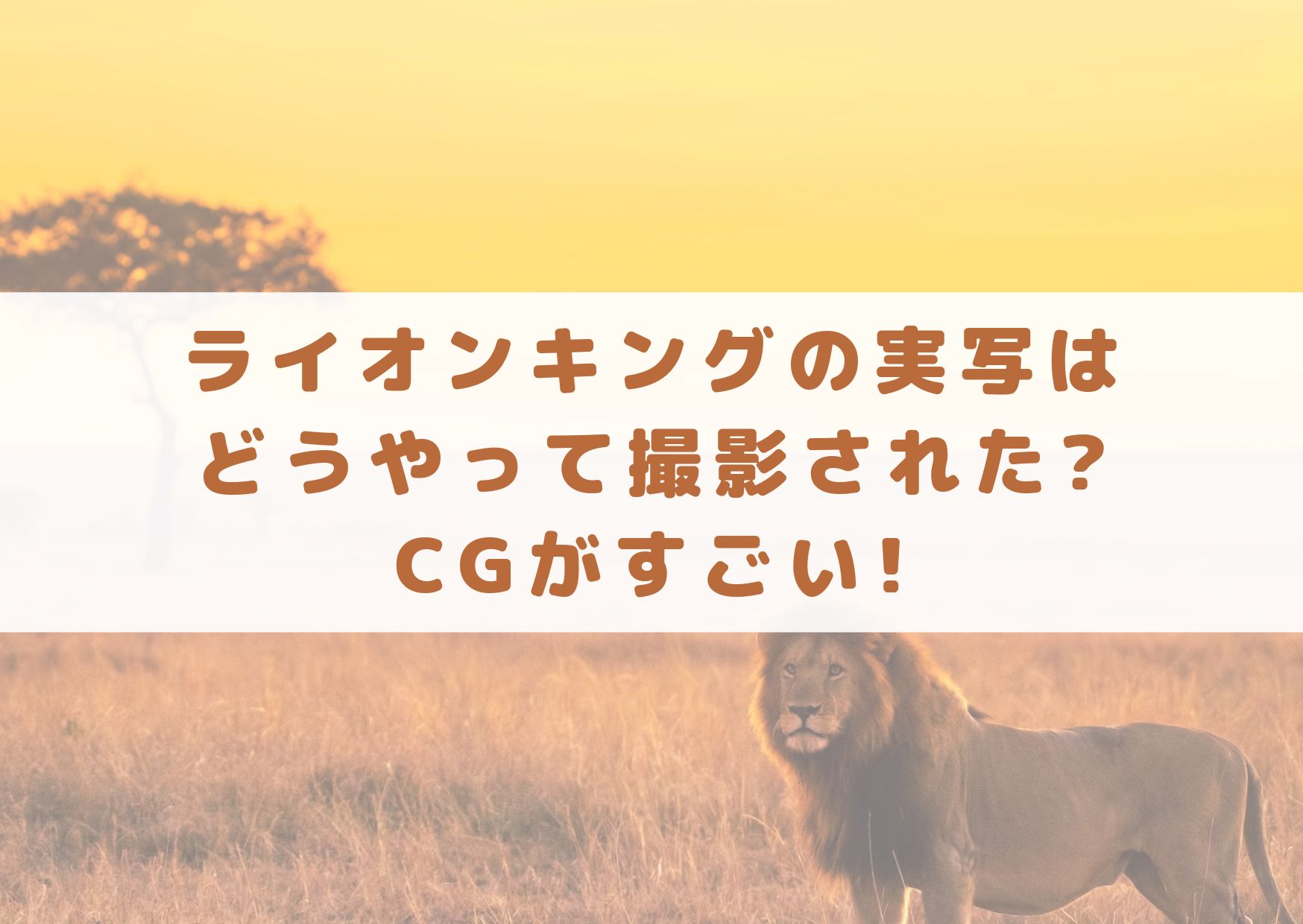 ライオンキングはどうやって撮影したの？