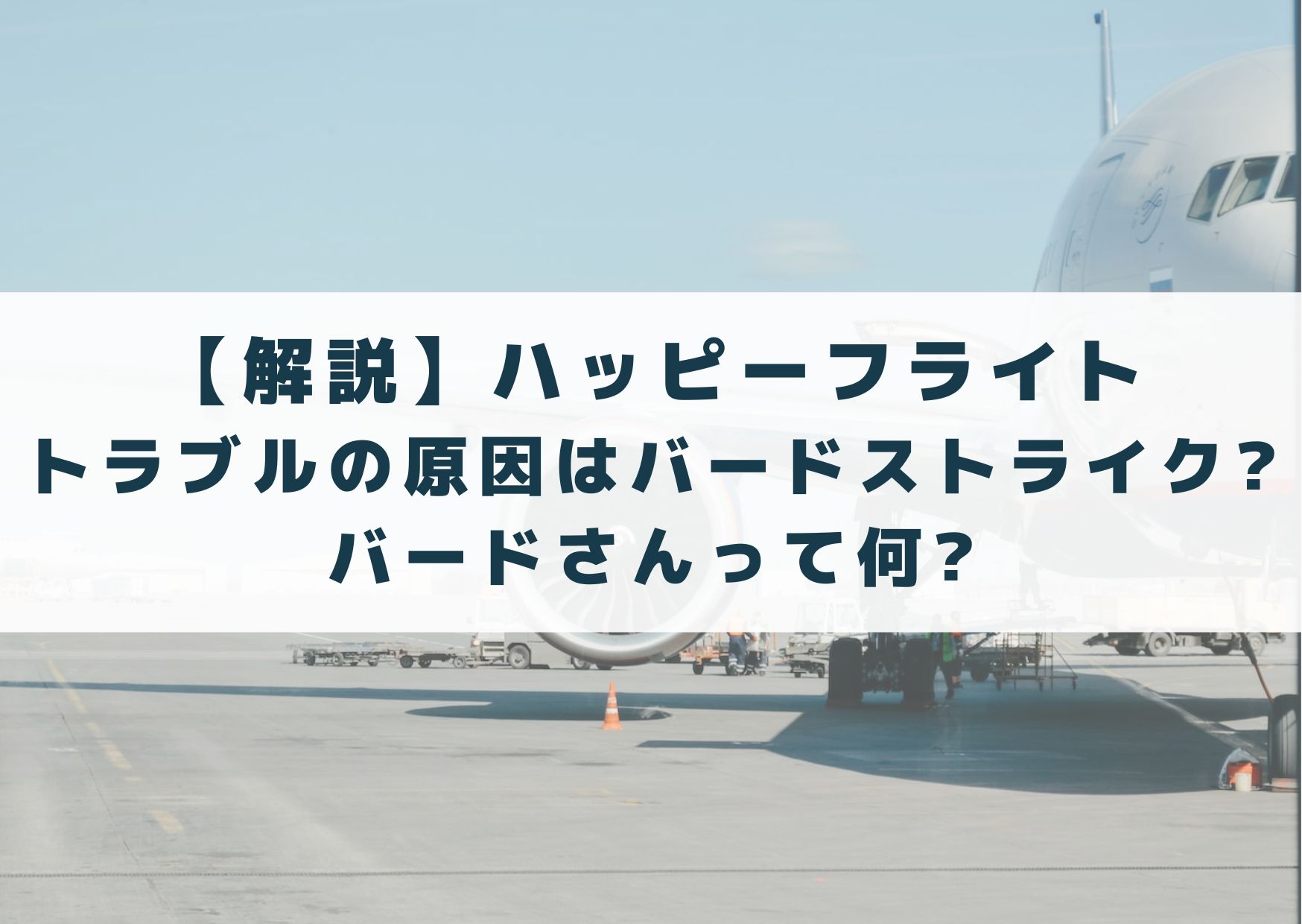 ハッピーフライトのロケ地・撮影場所は?空港や航空会社の協力も! | シネマアップデート!!