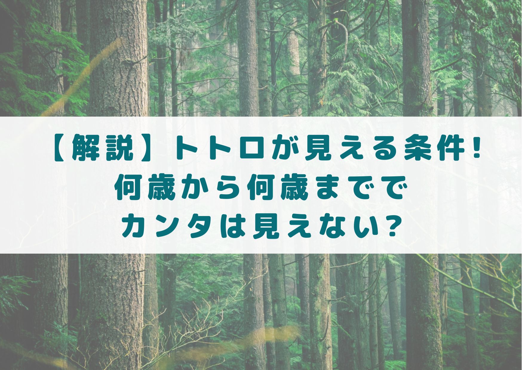 となりのトトロ　トトロ　見える条件　条件　何歳から　何歳まで　見える　カンタ　見えない