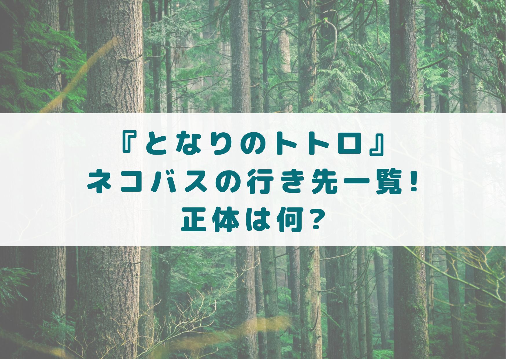 となりのトトロ　トトロ　ネコバス　行き先　一覧　まとめ　正体