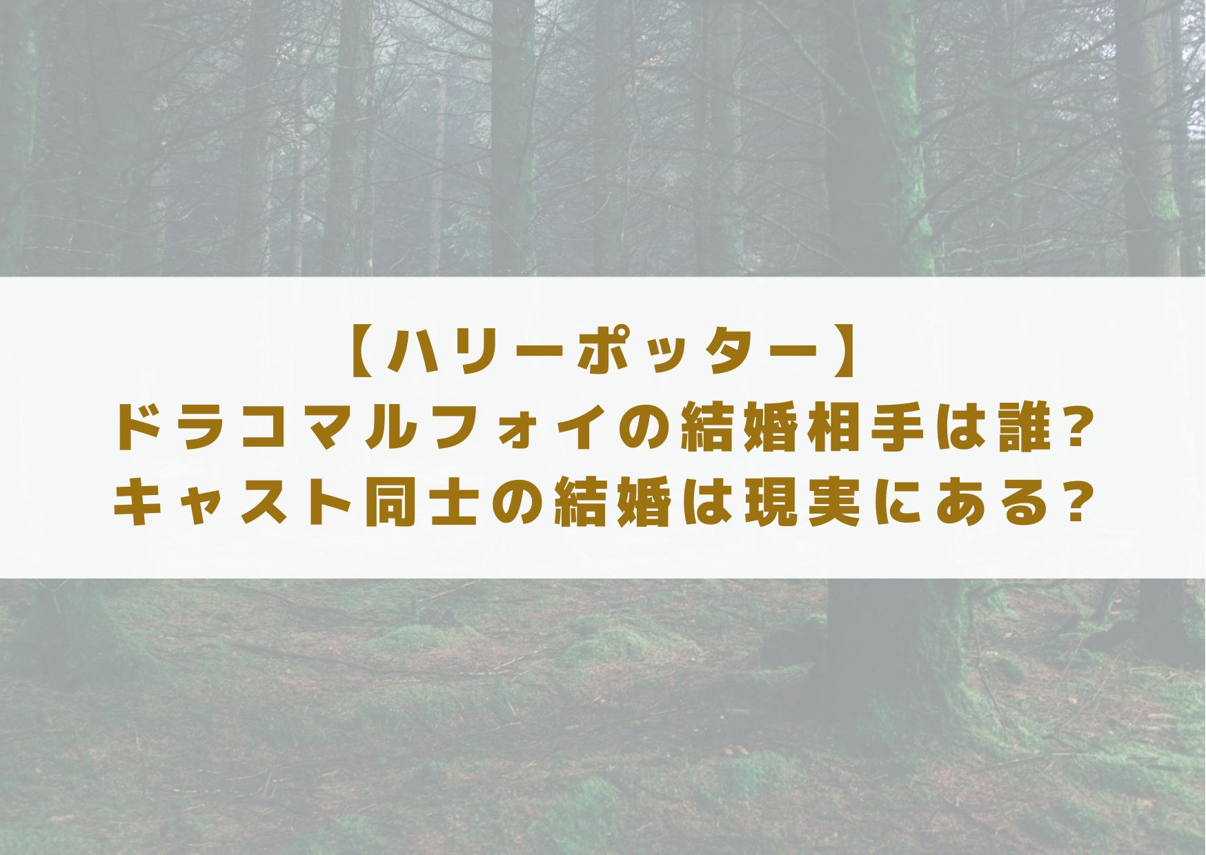 ハリー・ポッター　ドラコ　マルフォイ　結婚相手　奥さん　誰　キャスト同士　結婚　現実