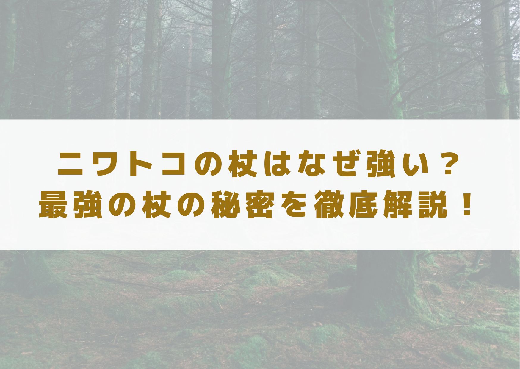 ニワトコの杖　なぜ強い　ニワトコの杖とは　解説　ハリポタ　ハリー・ポッター　死の秘宝